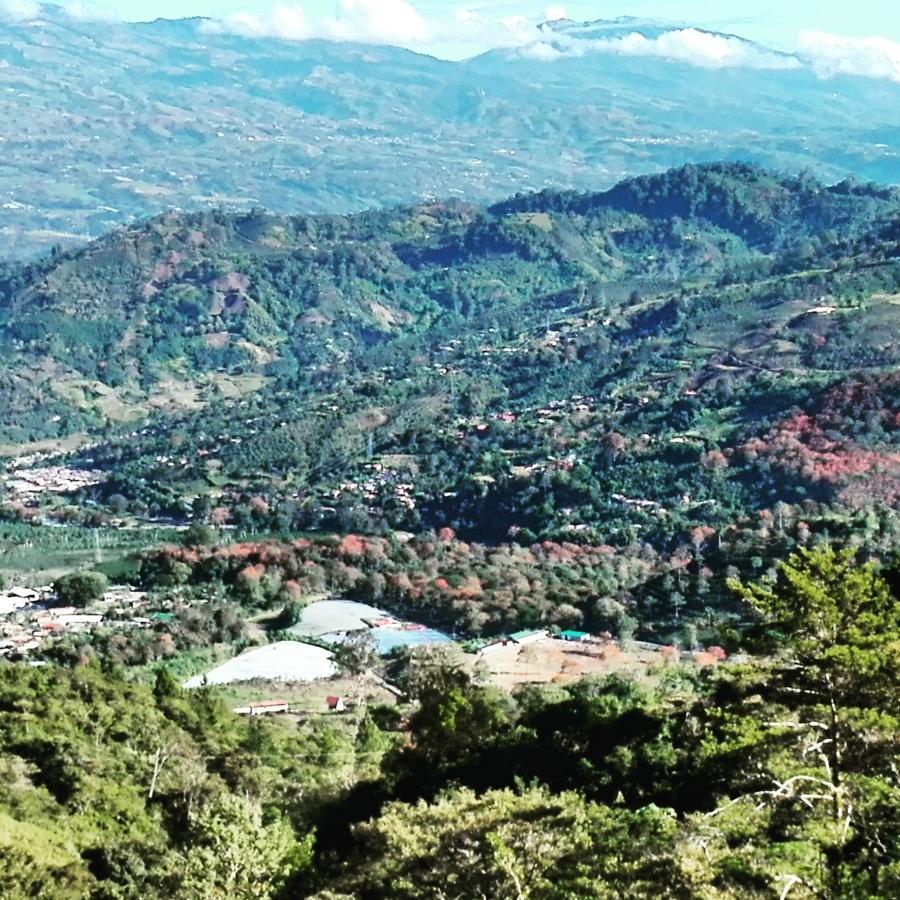 Finca Queveri Orosi Exterior photo