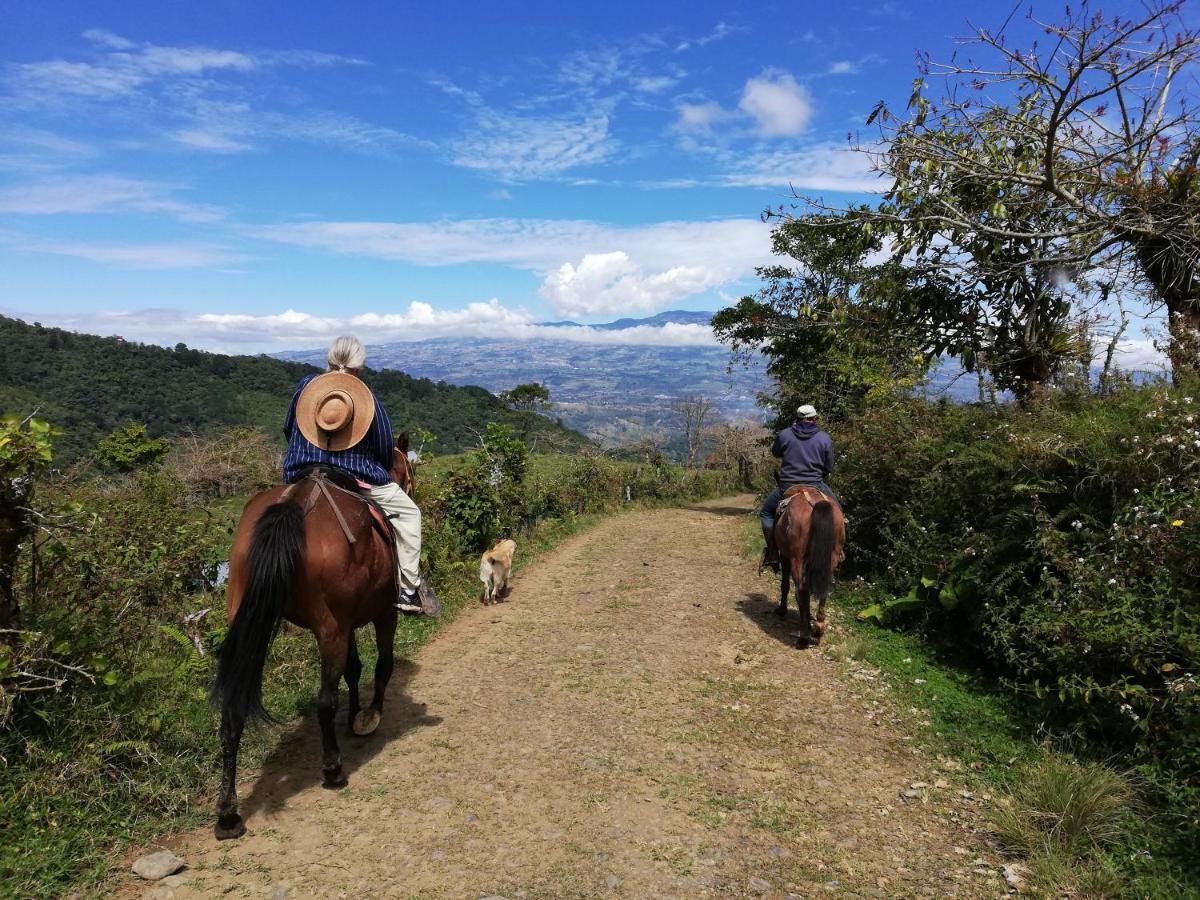 Finca Queveri Orosi Exterior photo