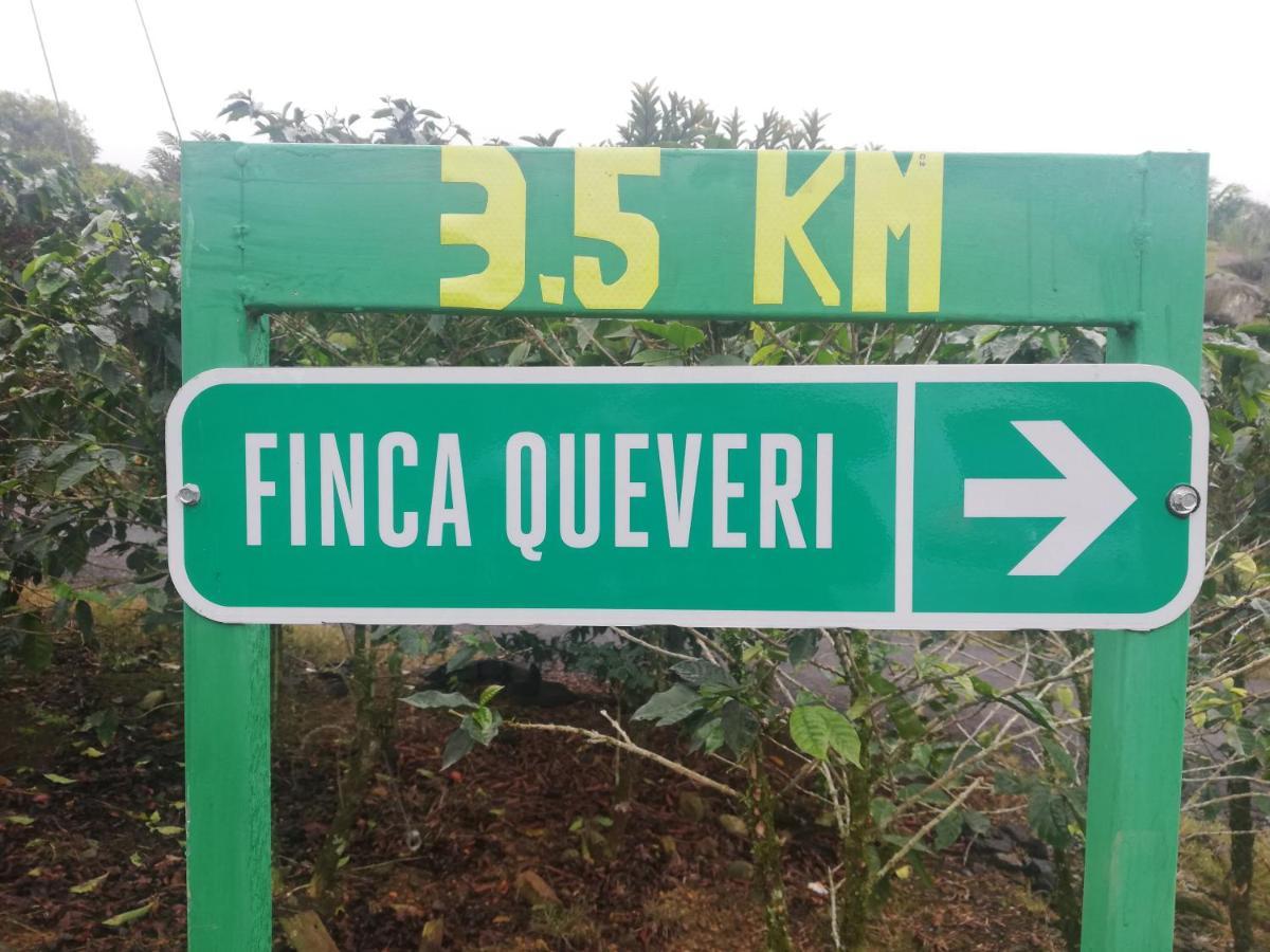 Finca Queveri Orosi Exterior photo